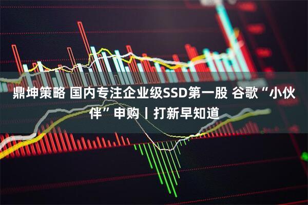 鼎坤策略 国内专注企业级SSD第一股 谷歌“小伙伴”申购丨打新早知道